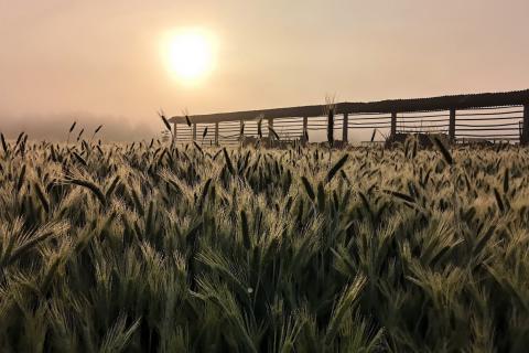 1. NAGRADA  avtor Miha Kosmač  naslov fotografije  Ožarjeni